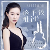 该不该难过 - Single - Yu Yang