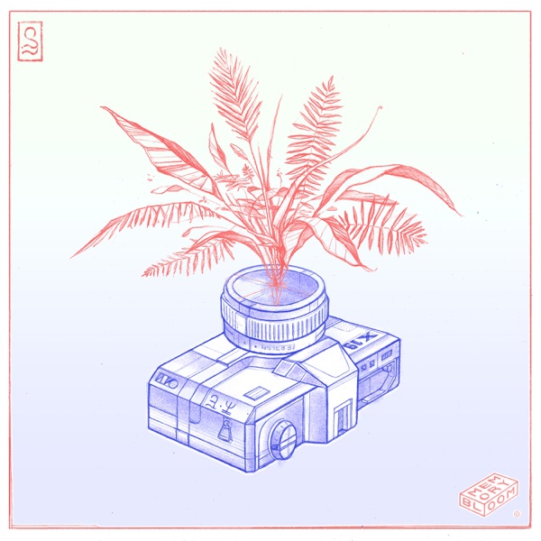 Memory Bloom - EP