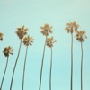 California Dreaming - Single