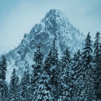 I need someone (Instrumental Version) - Single - Hrishikesh