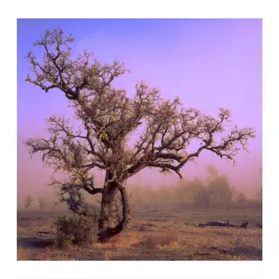 Listen to I No Longer Fear Where I'm Headed by Klexco