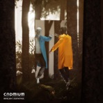 Human Greatness - Single