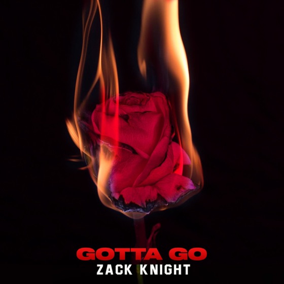 Cover artwork for Gotta Go