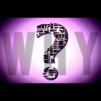 Why - Single - Highhatz
