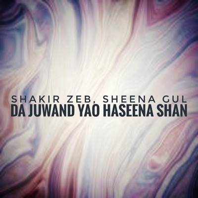 Da Juwand Yao Haseena Shan - Single