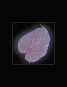 聆聽 Flora Yin-Wong、觀看音樂影片、閱讀小傳、查看巡演日期等！