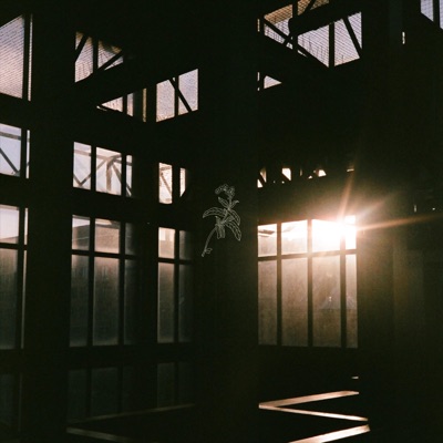 Vergissmeinnicht - Single