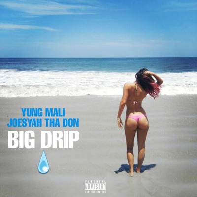 Big Drip (feat. Joesyah Tha Don) - Single