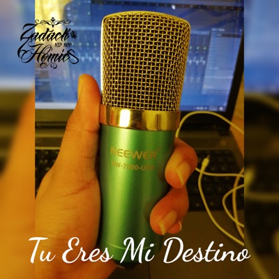Tu Eres Mi Destino - Single