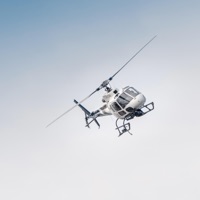 It's the F*****g Catalina Wine Mixer (feat. The Disneylanders) - Single - Addy Daddy