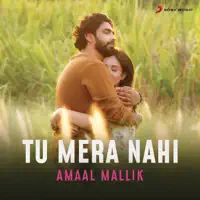 Tu Mera Nahi — Amaal Mallik