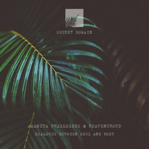 Dialogue Between Soul and Body - EP