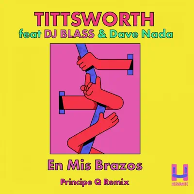 En Mis Brazos (Principe Q Remix) - Single - DJ Blass