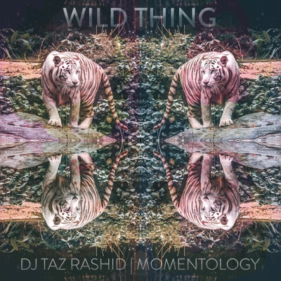 Wild Thing - Single