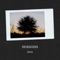 Seasons - IASU lyrics