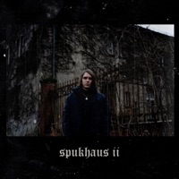 Spukhaus II - Single - Grafi