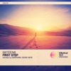 First Step (Denis Neve Remix) cover art