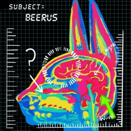Beerus Trvy