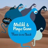 There Is No Track - Single - Malikk & Pimo Gama
