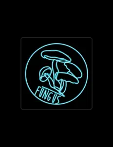 聆聽 FANGUS、觀看音樂影片、閱讀小傳、查看巡演日期等！