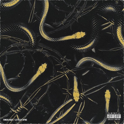 Letto di spine (feat. DJ Pitch) - Single