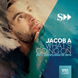 What's Goin On (incl. Deeplomatik Remix) - Single