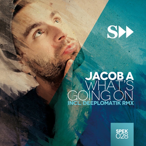 What's Goin On (incl. Deeplomatik Remix) - Single