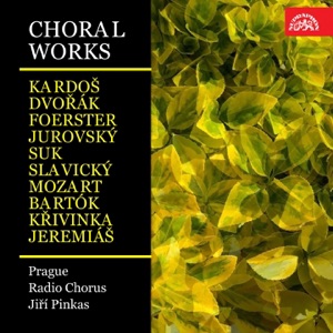 Choral Works (Kardoš, Dvořák, Foerster, Jurovský, Suk, Slavický, Mozart, Bartók, Křivinka, Jeremiáš)