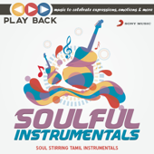 Playback: Soulful Instrumentals - Soul Stirring Tamil Instrumentals - Vários intérpretes