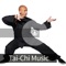 Tai Chi - Satorio lyrics