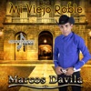 Mi Viejo Roble - Single