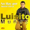 Luisito Muñoz - No Hay por Quién Llorar