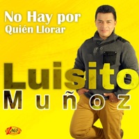 Luisito Muñoz - No Hay por Quién Llorar