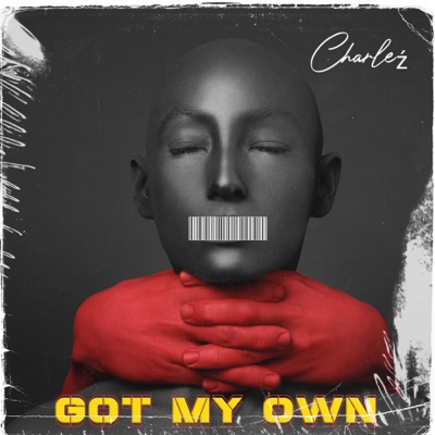 Got My Own - Single