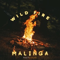 Wild Fire (Freestyle) - Single - Malinga