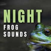 Night Frog Sounds artwork