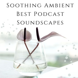 Meditation Sound