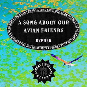 A Song About Our Avian Friends