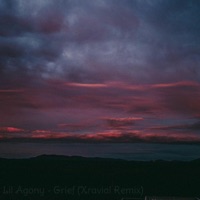 Grief (feat. Lil Agony) [Remix] - Single - Xravial