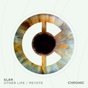 Other Life / Peyote - Single
