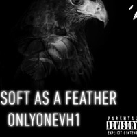 Soft As a Feather - Single - OnlyOneVh1