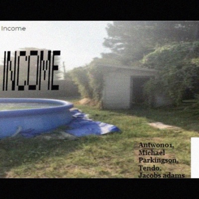 Income
