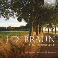 Flute sonata prima in D Major, Op. 1: II. Allegro — Jed Wentz & Musica Ad Rhenum