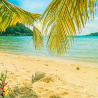 My Queen (feat. Mark & Sonia) - Single - Lofi Chill Hip Hop Beat