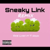 Sneaky Link (feat. T-Hood) [Remix] - Single - Skye Lives