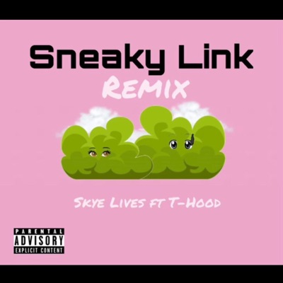Sneaky Link (feat. T-Hood) [Remix] - Single