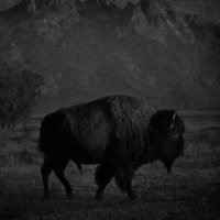 Tyrone - Single - Matthew Ryan