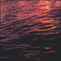 Joy Crookes Ablum Cover