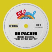 You're Just the Right Size (Dr Packer Rework) artwork