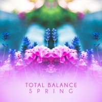 Spring - Single - Total Balance